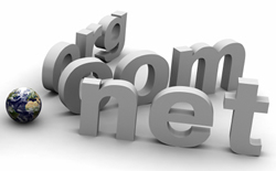 Domain Name Registration for Real Estate Agent Websites